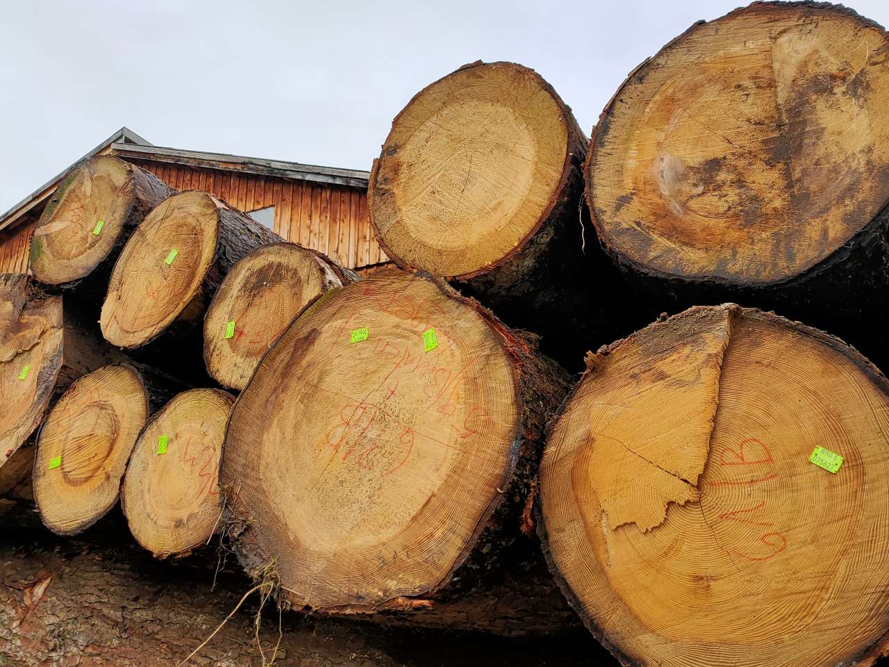 Besuch im Lochwald (Teil 4)