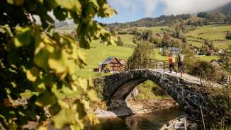 aktivitaet, draussen, herbst, natur, outdoor, sonnig, tag, toggenburg, wald, wandern, wanderweg, weg