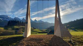 Schaukel Kühboden