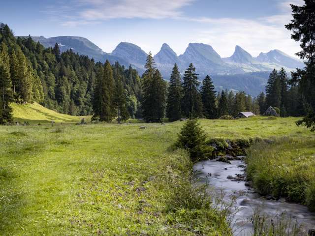 Themenwanderung mit Lagerfeuer-Raclette