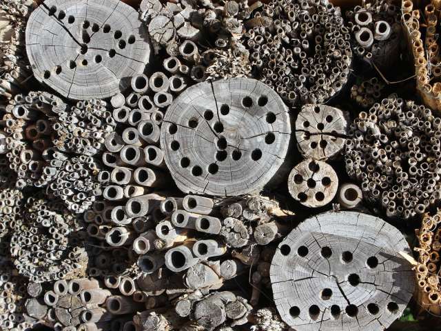 Wir bauen ein Bienenhotel