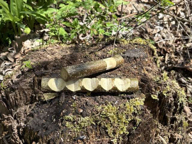 Wir basteln Instrumente aus Naturmaterialien