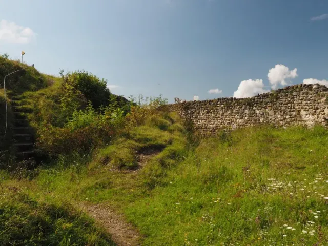 Die Grafen von Toggenburg und ihre neue Burg ob der Wasserfluh
