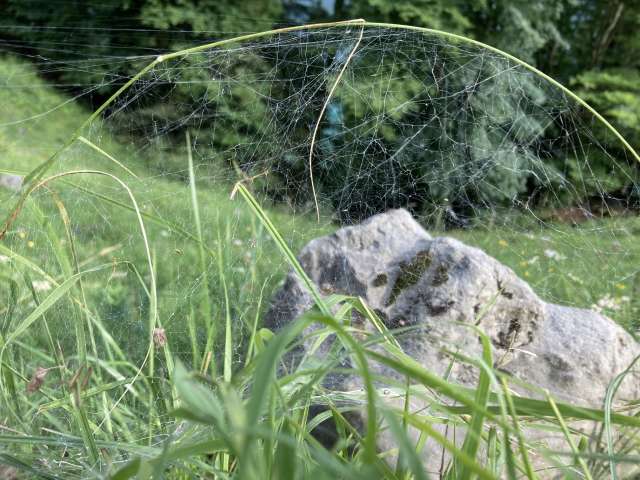 Das Werk, das wächst