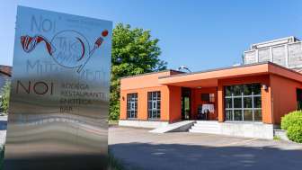 Bodega NOI